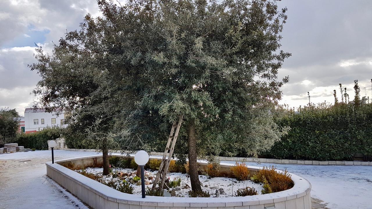 Villa Wonder Alberobello Exterior photo
